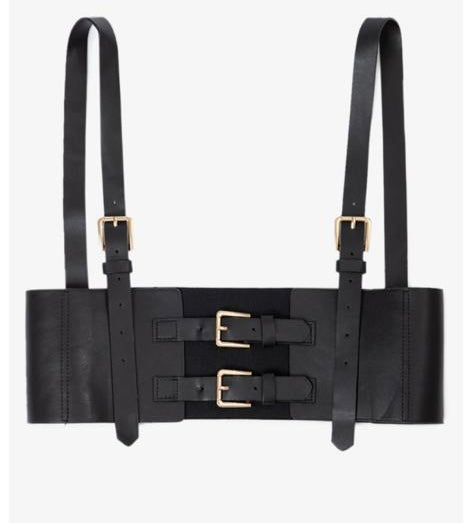 Harness 2