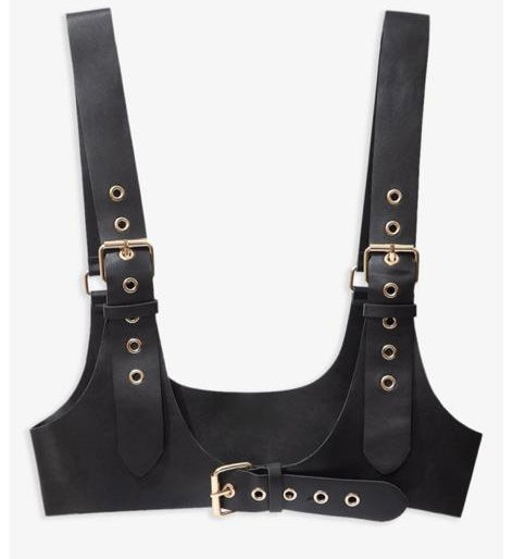 Harness 1