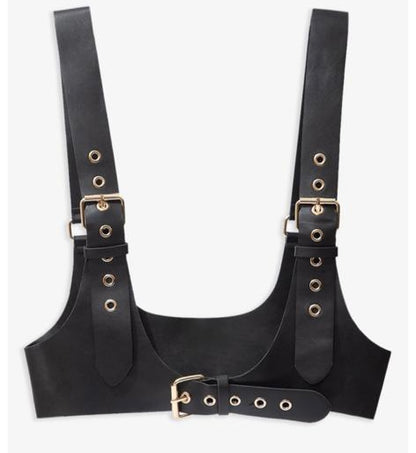 Harness 1
